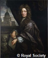 Wren P0145.jpg