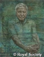 Portrait of Sir David Attenborough