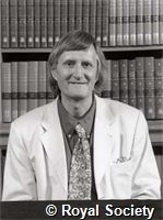 Attwell D I, IM000155.jpg