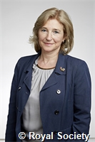 Bayvel, Polina Leopoldovna