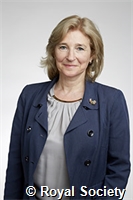 Bayvel, Polina Leopoldovna