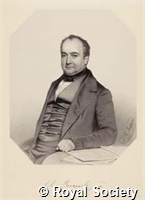 Bonaparte L, IM005528.jpg