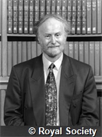 Brown M W, IM004046.jpg