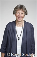 Cashman, Katharine Venable