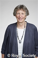 Cashman, Katharine Venable