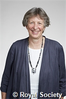 Cashman, Katharine Venable