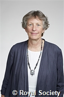 Cashman, Katharine Venable