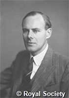 Constant H, GA WS 8557.jpg