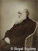 Darwin P0180.jpg