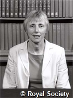 Dean C, IM004054.jpg