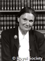 Edwards D, IM001244.jpg