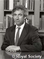 Ellis R S, IM001295.jpg