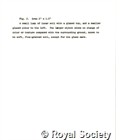 Gold T, TG 1 6 237 17.jpg
