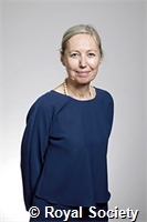 Gouverneur, Véronique