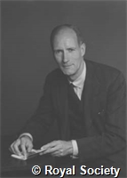 Hinton C, GA WS 4189.jpg