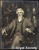 Lea H C, IM002661.jpg