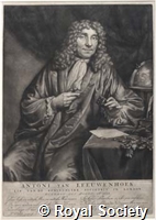 Leeuwenhoek P0208.jpg