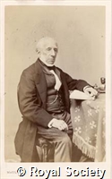 Mayo T, IM Maull 003040.jpg