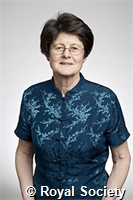 Pemberton, Josephine M