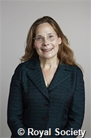 Strynadka, Natalie C J