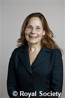 Strynadka, Natalie C J