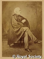 Strzelecki P E, IM004433.jpg
