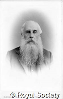 Whitaker W, IM Maull 004861.jpg