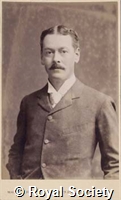 Basset A B, IM Maull 000280.jpg