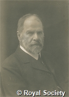 Darwin H, IM001066.jpg