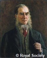 Hooker P0071 600.jpg