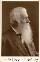 Swan J W, IM Maull 004469.jpg