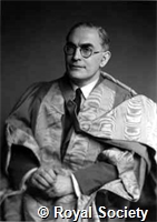 Allen N P, GA WS 5049.jpg