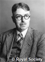 Brambell F W R, GA WS 4648.jpg