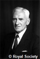 Brunt D, GA WS 2863.jpg