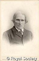 Burdon Sanderson SS, IM Maull 004002.jpg