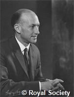 Craig D P, GA GRS 5309.jpg