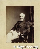 Davidson T, IM Maull 001081.jpg