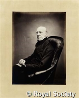 Disney J, IM Maull 001159.jpg