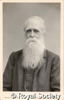 Everett J D, IM Maull 001334.jpg