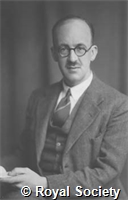 Gaddum J H, GA WS 1805.jpg