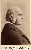 Galton F, IM Maull 001598.jpg