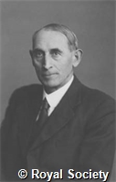 Gold E, GA WS 1272.jpg