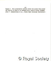 Gold T, TG 1 6 374 13.jpg