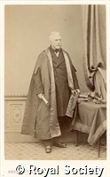 Gulliver G, IM Maull 000814.jpg