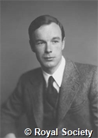 Hodgkin A L, GA WS 3095.jpg
