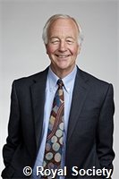 Lodge, David