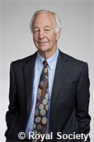 Lodge, David