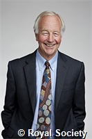 Lodge, David
