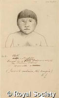 MS 236 11.jpg