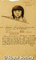 MS 236 12.jpg